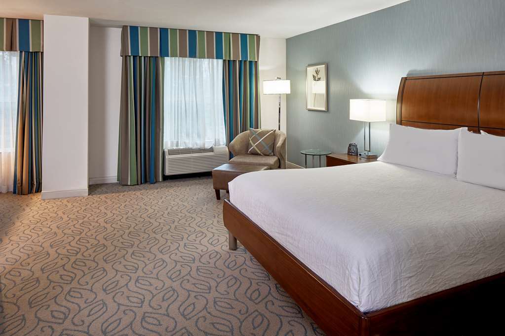 Hilton Garden Inn Atlanta Midtown Camera foto
